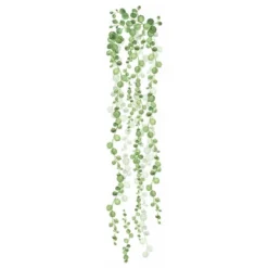 36.5" X 9" String Of Pearls Vine Peel And Stick Wall Decal - RoomMates