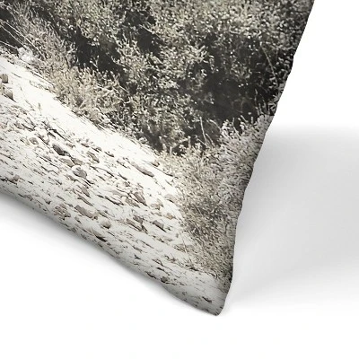 Seaside With Rocks By Tanya Shumkina Throw Pillow - Americanflat