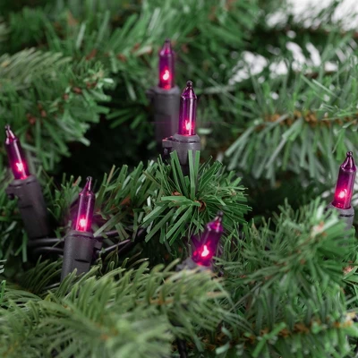 Northlight Mini Incandescent Christmas Lights - Purple - 20.25' Black Wire - 100ct - Image 2
