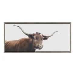 18"x40" Sylvie Texas Longhorn Cow Lick Framed Canvas By Creative Bunch - Kate & Laurel All Things Decor