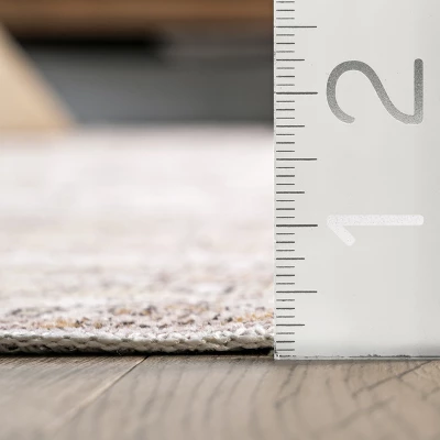 NuLOOM Deadra Vintage Floral Machine Washable Area Rug - Image 2