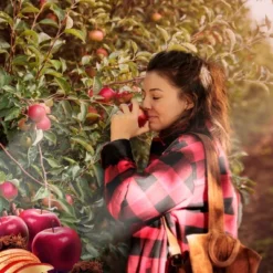 Air Wick 0.67 Fl Oz Essential Mist - Warm Apple & Cinnamon - 2pk