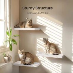 Attop Wall Shelves For Bathroom/Living Room/Bedroom/Kitchen Decor, White Shelves With Invisible Brackets Set Of 3